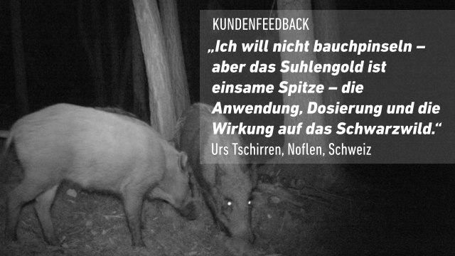 Feedback aus der Schweiz