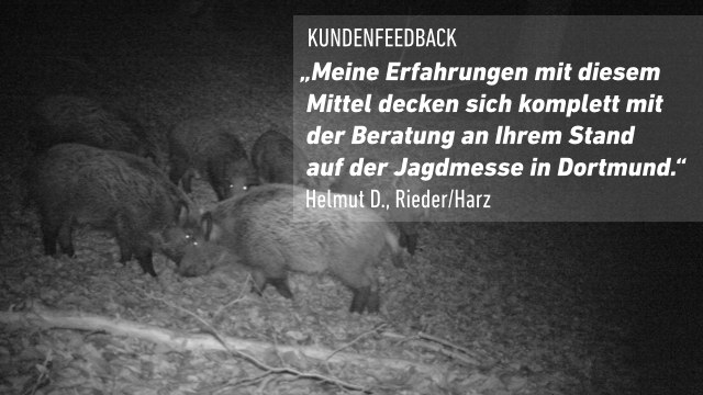 Kundenfeedback aus dem Harz