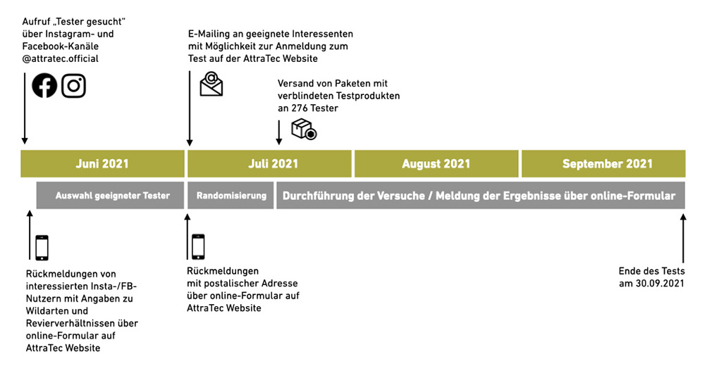 Zeitlicher Ablauf der Studie