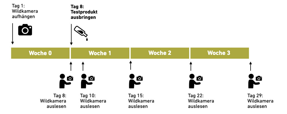 Versuchsdurchführung